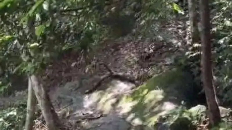 时评丨莫让景区管理在“硬拦截”与“软塌陷”两个极端间反复摇摆