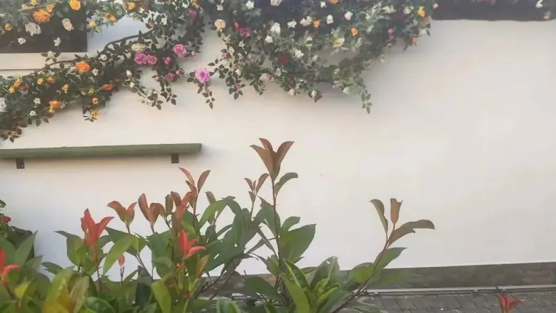 上海人依旧还是会喝咖啡,不会因为你而改变分毫