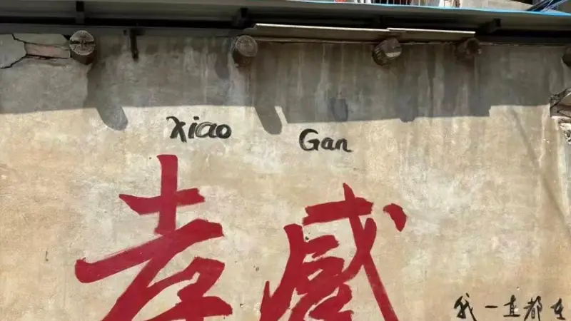 暑期逛孝感,人文山水兼得的短途出游地