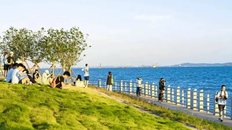 厦门本地人怎么玩鼓浪屿？2026定制游的在地视角与避坑点