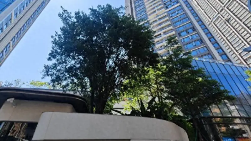 “封面级豪宅”外墙铝板变涂料?深圳中洲湾迎海二期被指货不对板 丨 追问“好房子”