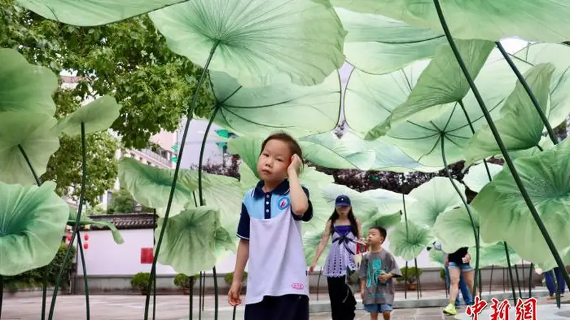 浙江杭州：孔庙“府学荷香”引客来
