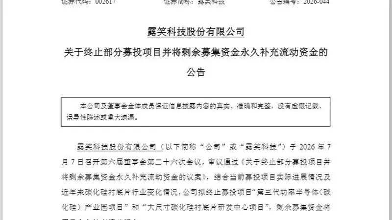 直线涨停后“炸板”！002617盘后宣布：终止募投项目，全部“补流”