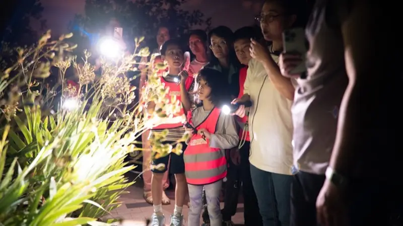 上海夏季音乐节｜探秘夏夜植物园，聆听大自然的交响