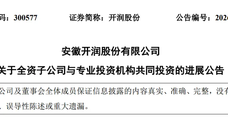 DeepSeek估值,被一家安徽箱包公司给全部暴露了