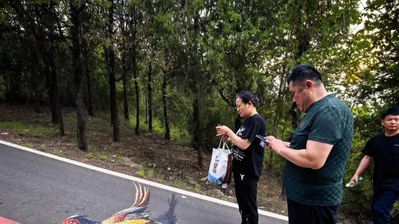 贾汪:大洞山彩虹步道焕新 登山成自然科普趣味之旅