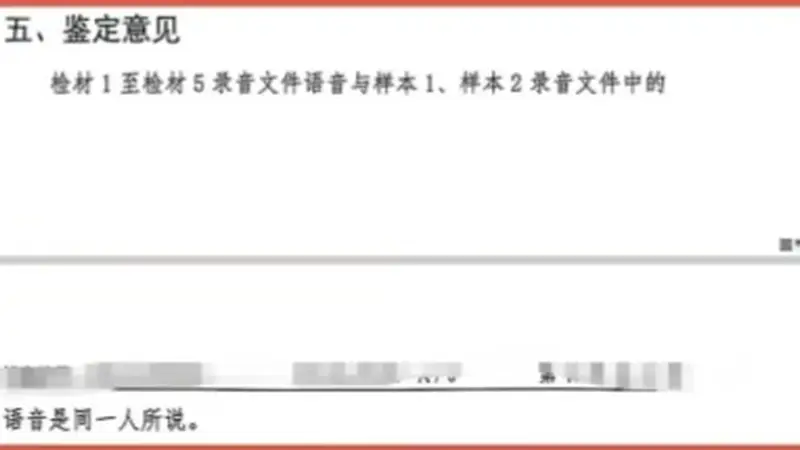 极目深度丨七旬老母一审被判替女还债百万,通话录音成为呈堂证供,当事人喊冤“那是女儿捏着嗓子冒充我”,二审未宣判