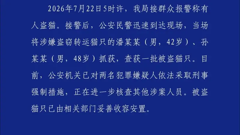 两名男子涉嫌盗窃转运上百只猫，山东莱州警方：已采取刑事强制措施
