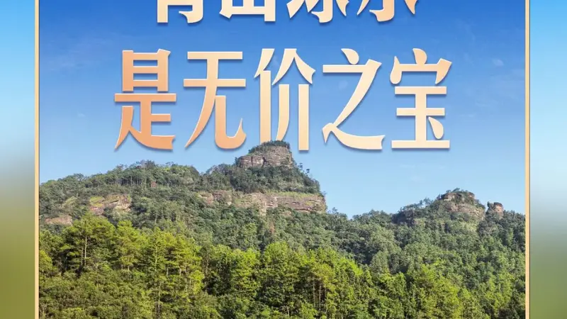 习言道|走进茶园,习近平强调做好这篇“大文章”