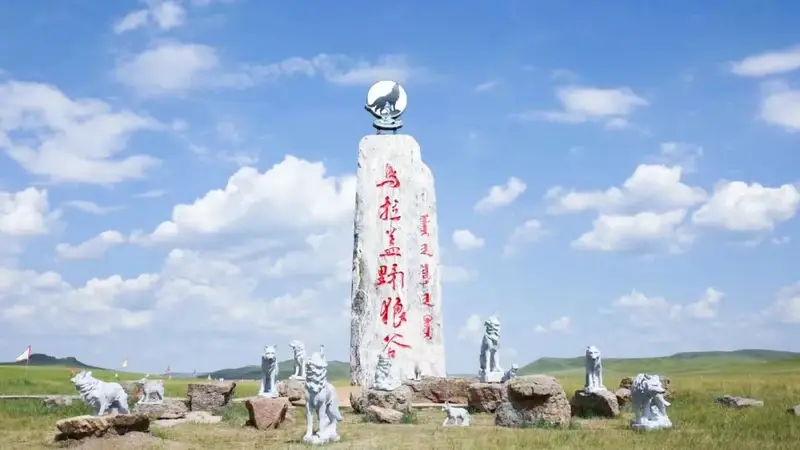 游客打卡《狼图腾》拍摄地被拉到山寨“野狼谷”，狼群“狗里狗气”？当地文旅：确有私人同名景区