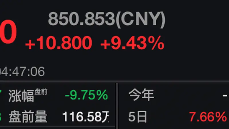 AI支出激增引发担忧 SpaceX盘前下跌近10%