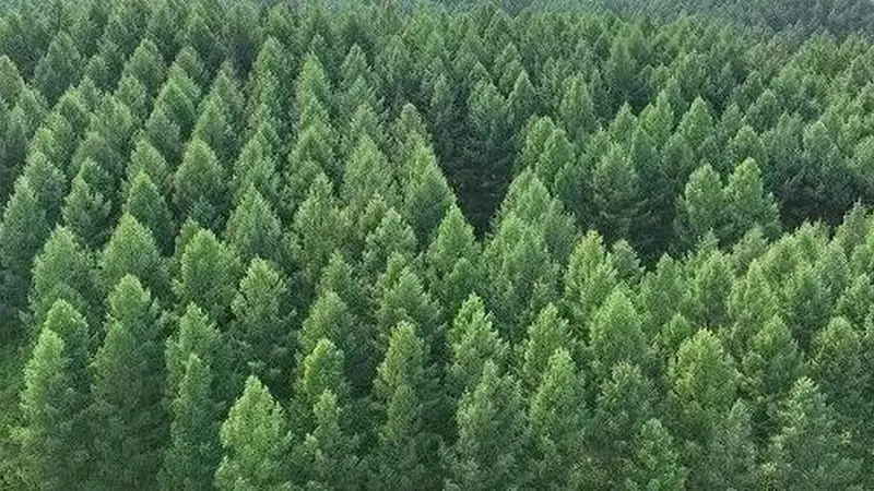 辽宁大连风景区创新治理优化营商环境