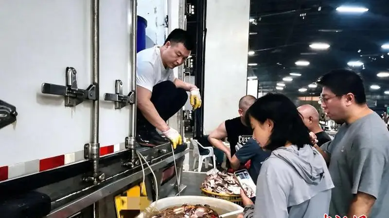文旅观察:年轻人夜间“拼蟹”怎么成了旅游新风尚?