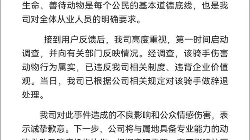 朴朴超市回应骑手虐猫：属实，已辞退