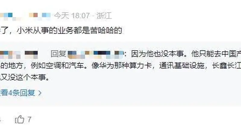 雷总,这波太惨了