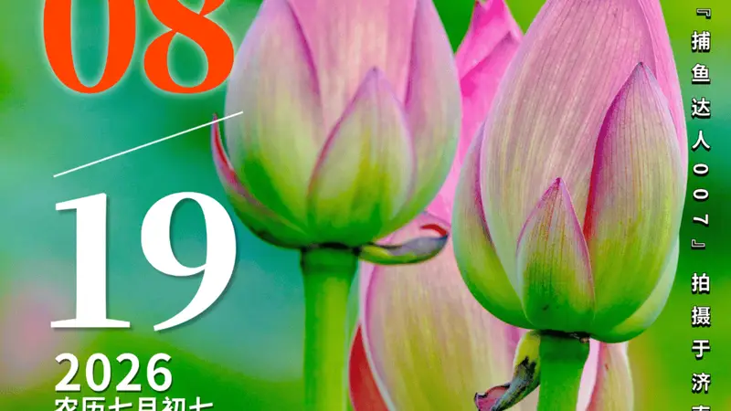 壹点日历8.19|愿时光缓缓常相伴，且以温柔度朝夕！七夕快乐