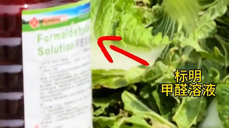 河北张家口市场监管局回应“博主曝光大白菜装车前蘸甲醛保鲜”:关注到相关情况,多部门已展开调查