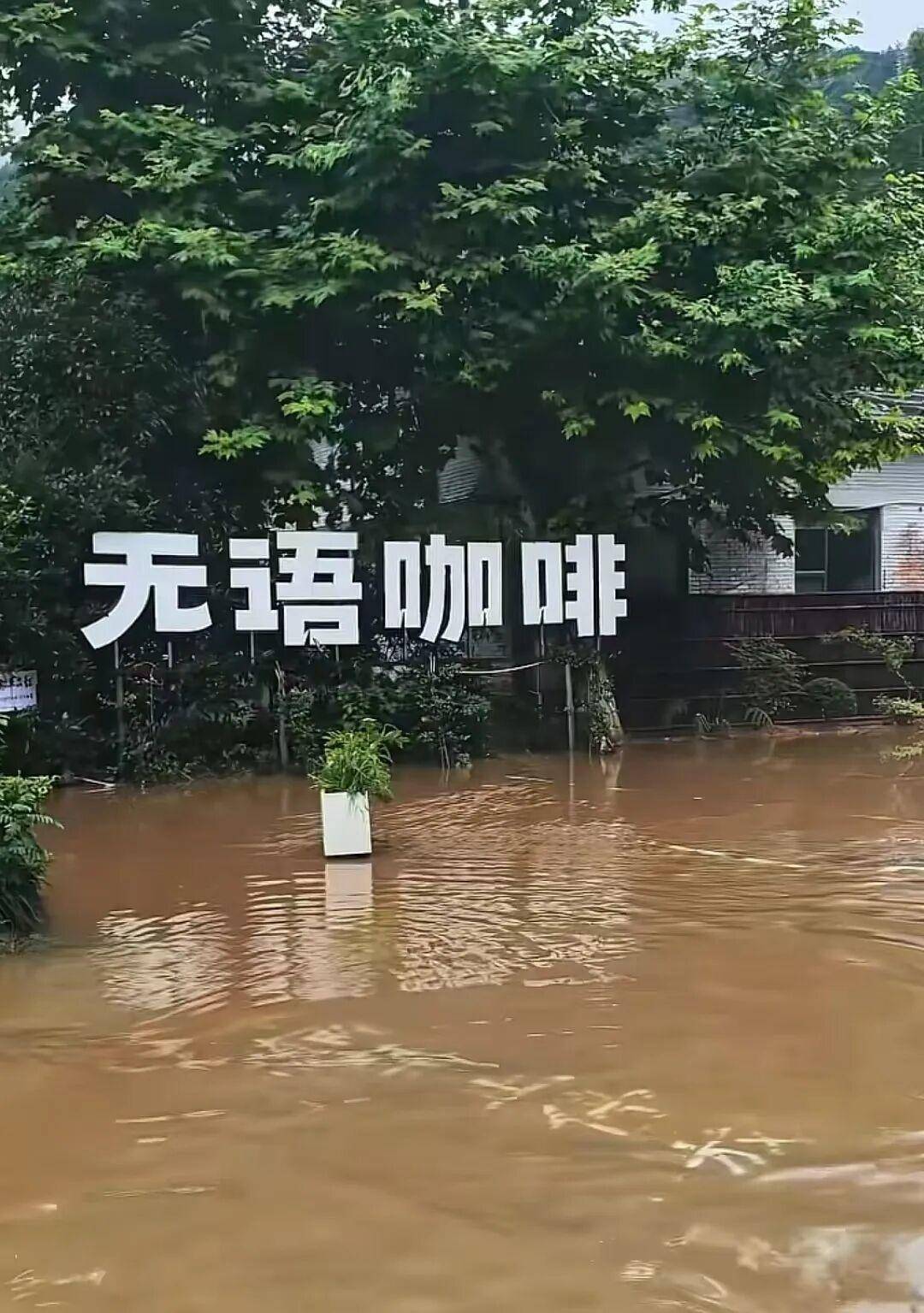 景德镇暴雨致内涝洪水,多家商户被淹,瑶里古镇临时关闭