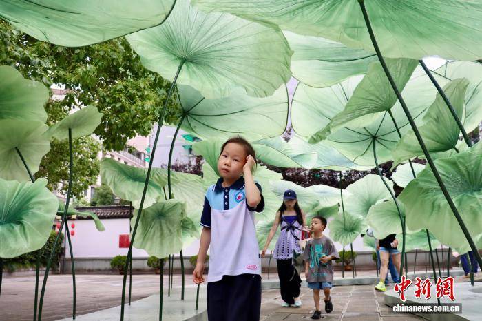 浙江杭州：孔庙“府学荷香”引客来