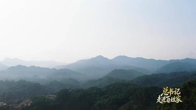 总书记走进百姓家｜“把茶叶经营好，把日子过得更红火”
