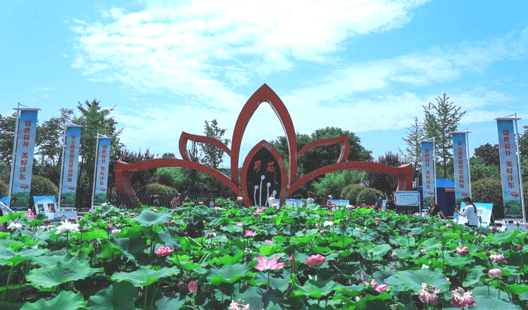 解锁夏日微度假最新玩法 西安市2026年消夏文旅季暨西安千荷苑荷文化旅游季启动