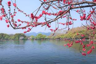 和爸妈一起旅行的这几天