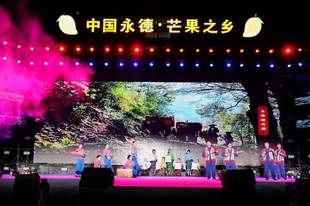 2026年永德芒果之乡文化旅游节启幕
