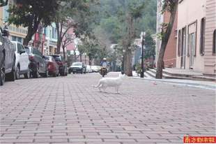 告别“大拆大建” 老牌存量景区破局“解药”在何方