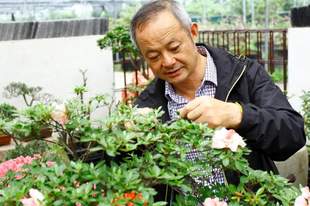 嘉善4人入选,个个有绝活!