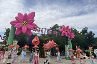 赏荷、泛舟、逛市集 鸣翠湖荷花节解锁国风避暑新玩法