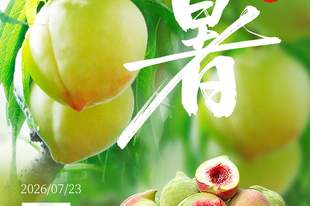 优·时节 | 大暑蒸炎夏 桃尖沁绯红
