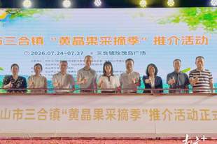 “果中燕窝”采摘季来了!暑假来台山三合镇摘果、戏水、泡泉