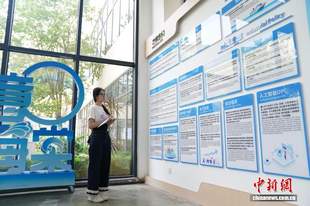港澳大学生逐浪海南自贸港:遇见开放多元的新三亚