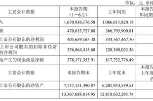奕瑞科技上半年营收净利双增 数字化X线探测器关键技术研发项目延期
