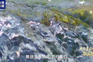 领航丨共绘美丽中国新画卷