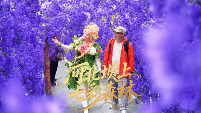 北京周边避暑天花板！16℃的丰宁七彩森林，遛娃度假一站式全搞定