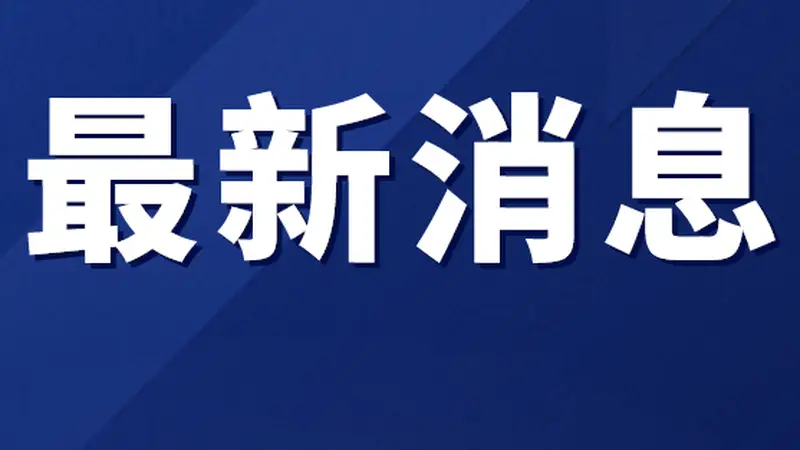 关于桃源河漂流景区周边道路实施临时交通管控的通告