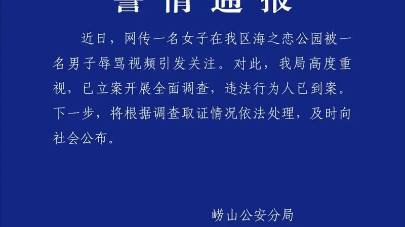 青岛警方通报“男子辱骂女游客”：已立案开展全面调查，违法行为人已到案，将根据调查取证情况依法处理