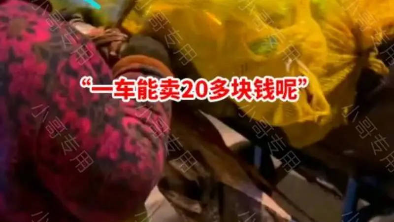 老大妈凌晨街头拾荒，卖一车赚20多块，老人：我得替孩子还钱！