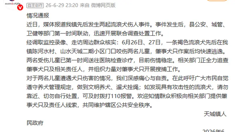 湖北崇阳通报“流浪犬咬伤两名儿童”：全力追查肇事犬只及相关责任人