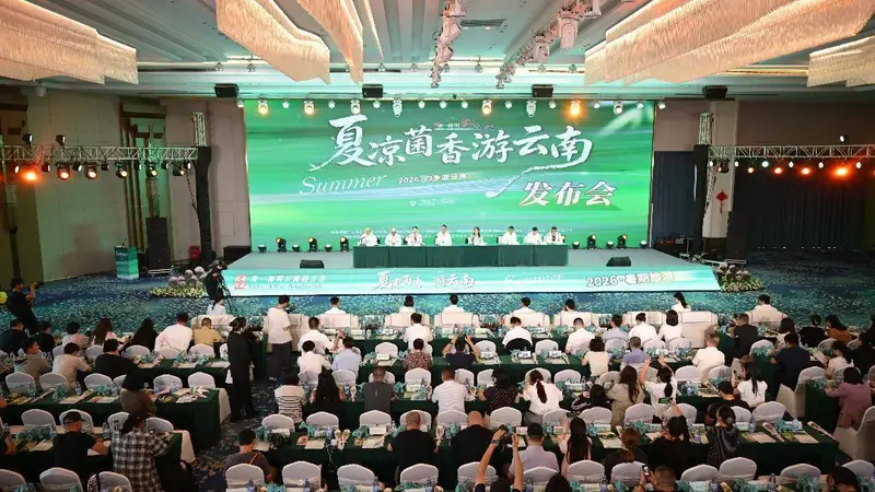 真金白银!云南邀您来避暑、吃菌!