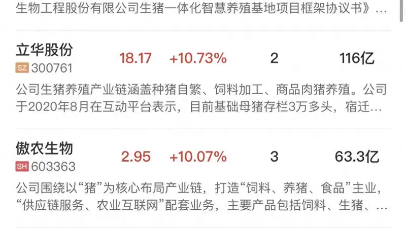 午报沪指放量涨超1%, 全市场超4500只个股上涨,大金融集体走强