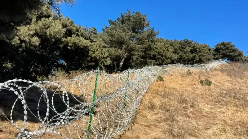 泰山景区回应修建刀片隔离铁丝网：与游览路线不交叉重叠