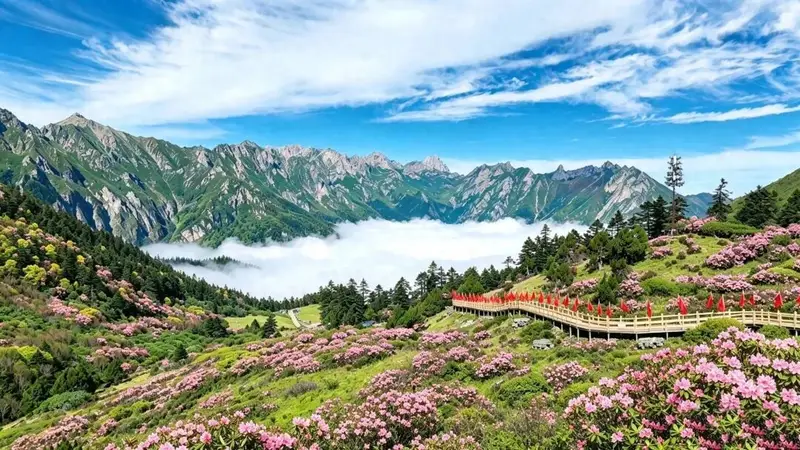 雷古山上杜鹃开
