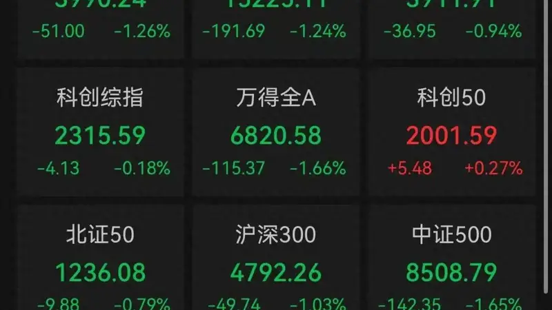 A股收评：近4800只个股飘绿，三大指数集体收跌，科创50收涨