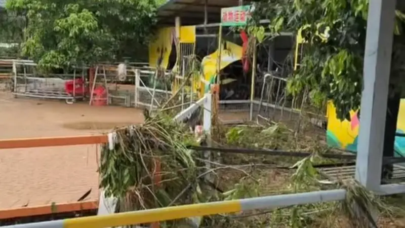 贵港动物园上百只动物被洪水冲走,3只狮子死亡,负责人回应