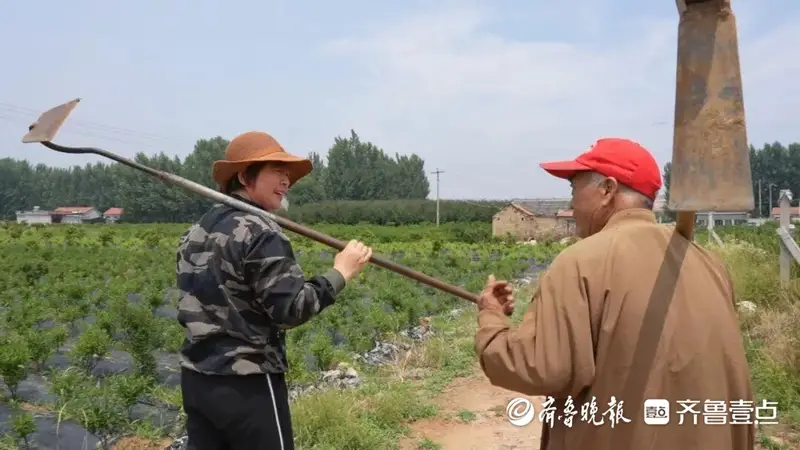 乡村有范儿丨泰安显祖剧团:白天种地晚上唱戏,22个农民撑起一个濒危剧种