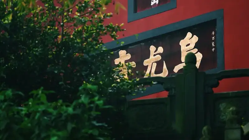 小众还免费!就在乐山城边上!快去森系徒步拍花海啦~