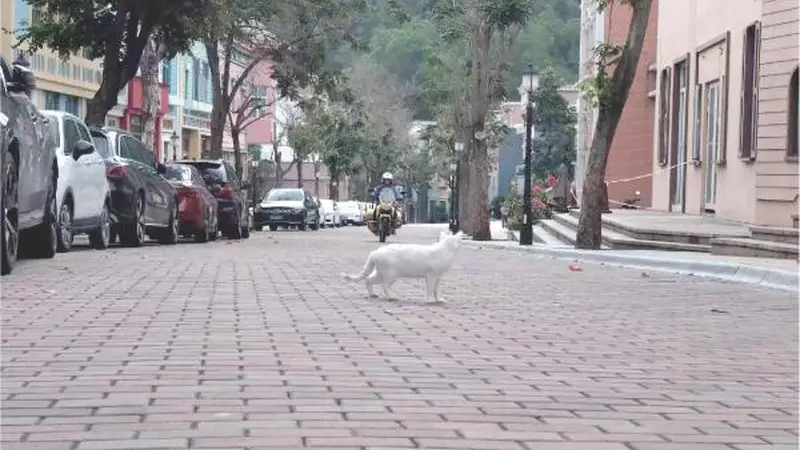 告别“大拆大建” 老牌存量景区破局“解药”在何方