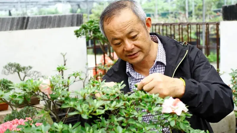 嘉善4人入选,个个有绝活!